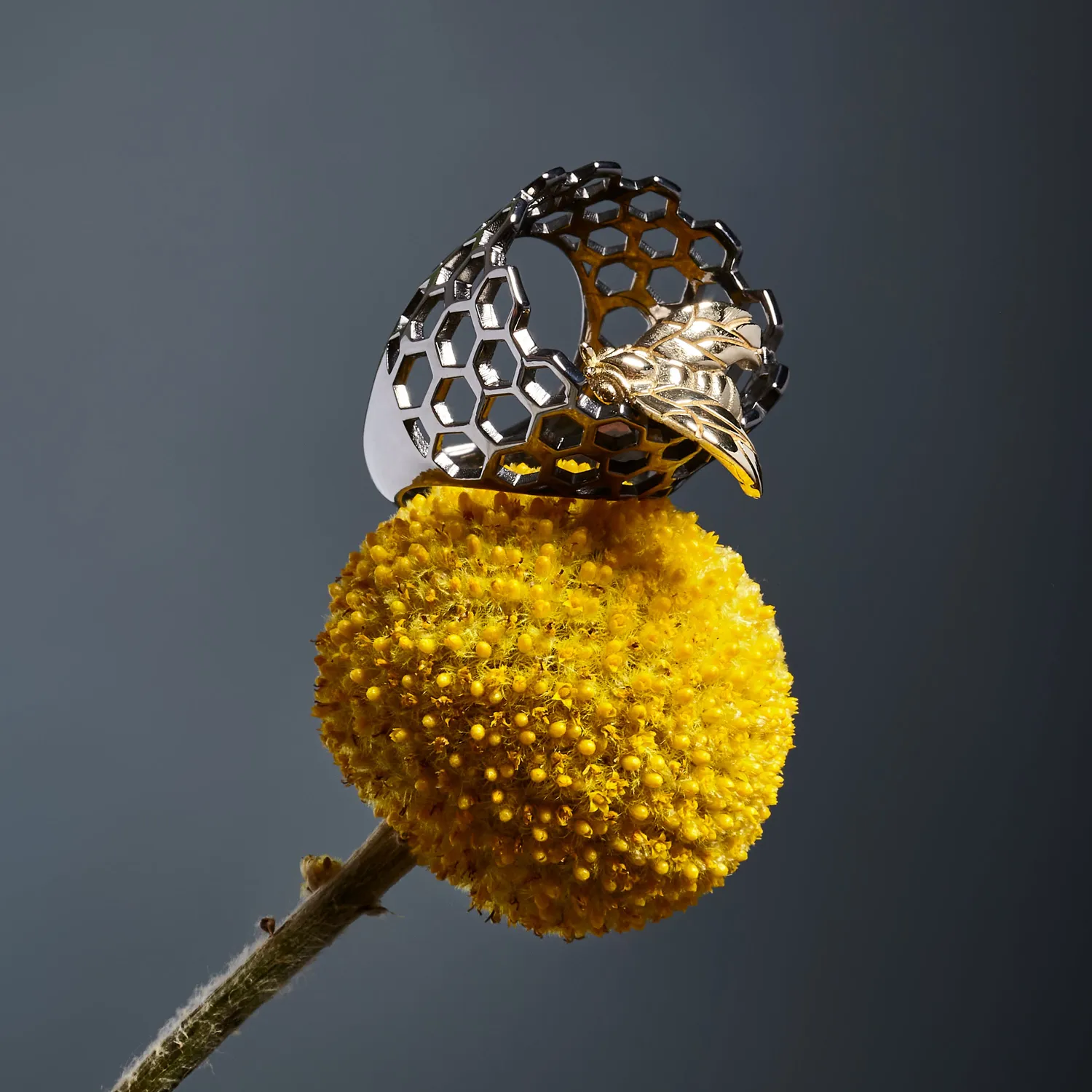 Lorella Tamberi Canal Bee Queen ruche bague abeille or