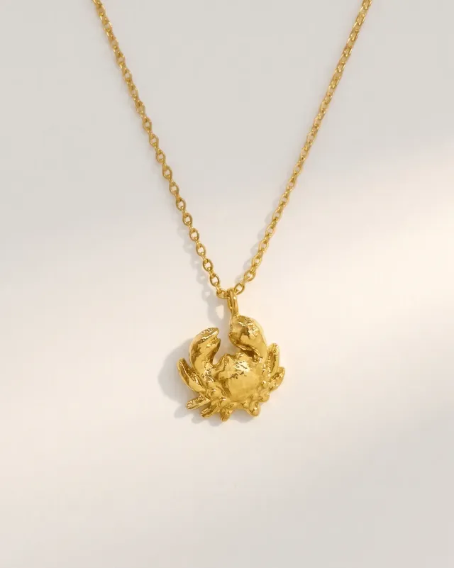 Elise Tsikis Nautil collier crabe 40cm femme doré