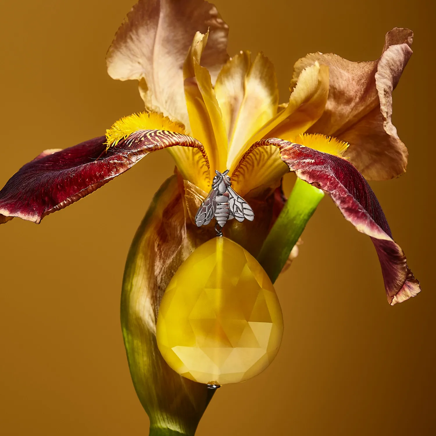 Lorella Tamberi Bee Queen boucles pendantes calcédoine