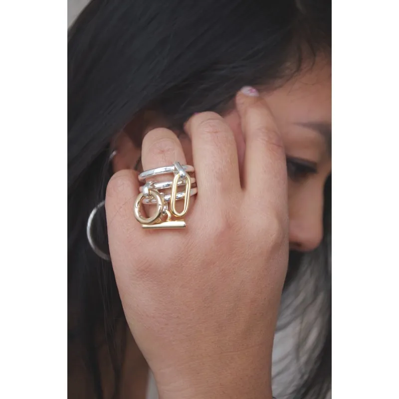 Secret de Cuir N°1602 bague 909 anneau bicolore