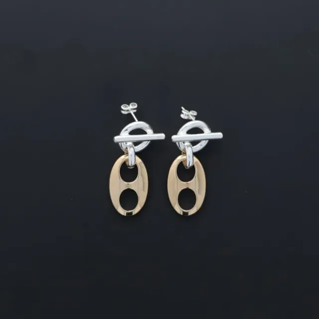 Secret de Cuir N°1608 boucles café bicolore plaqué argent