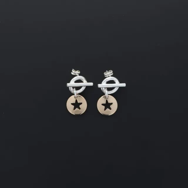Secret de Cuir N°1706 boucles d'oreilles étoile évidée bicolore