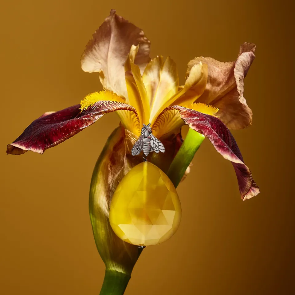 Lorella Tamberi Bee Queen boucles pendantes calcédoine